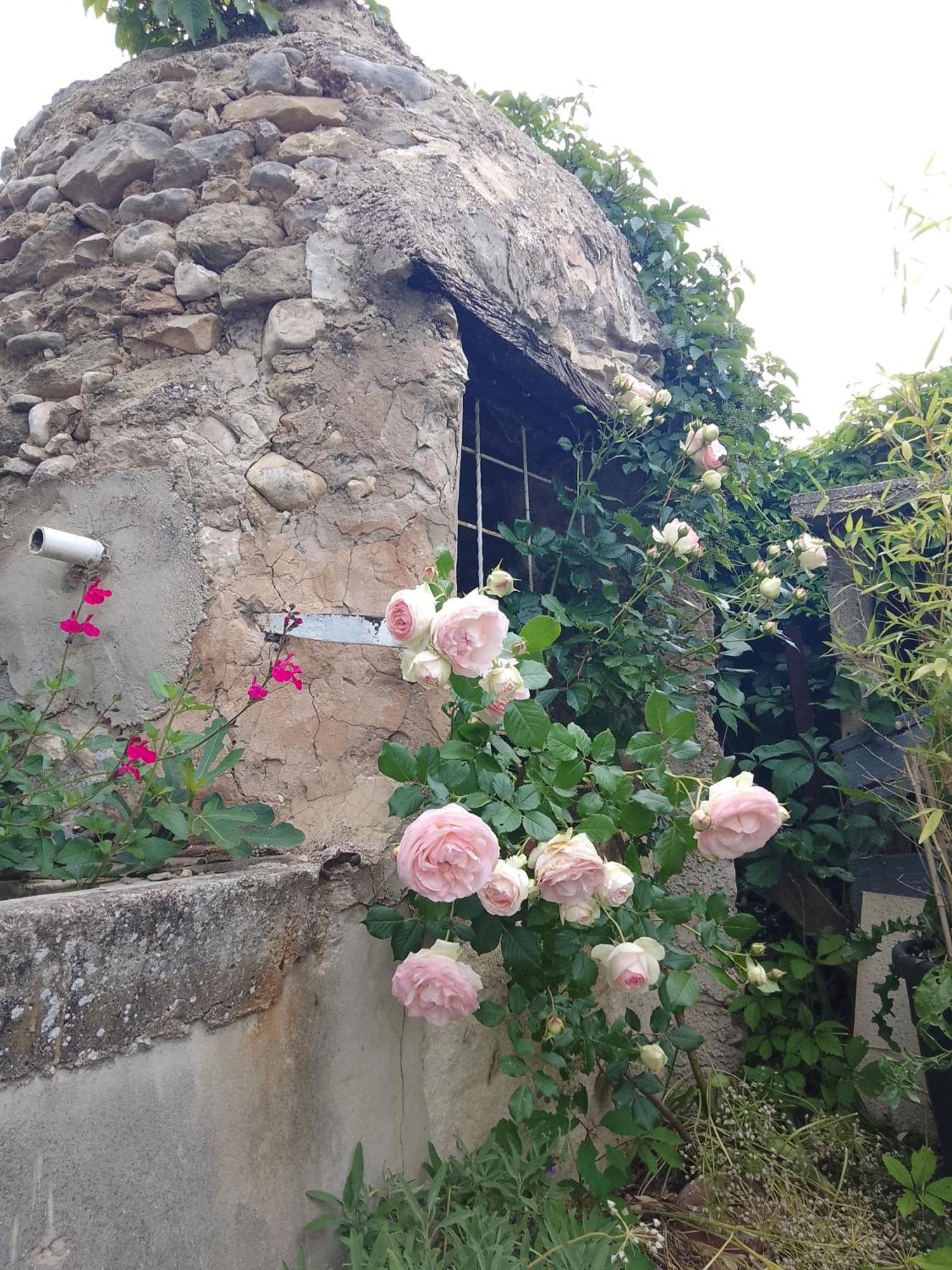 Les Gites Du Mont Ventoux Bedoin Exterior photo