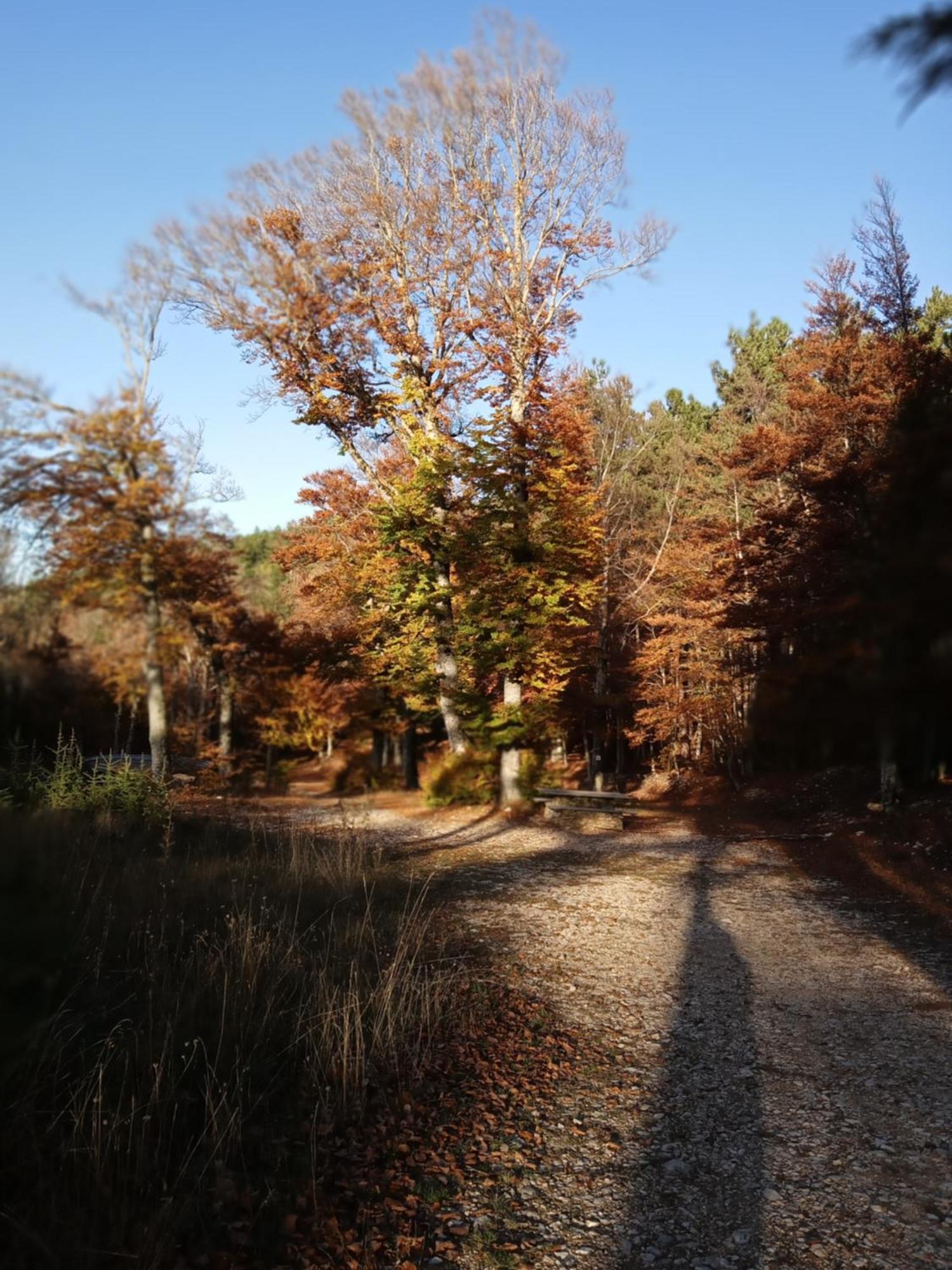 Les Gites Du Mont Ventoux Bedoin Exterior photo